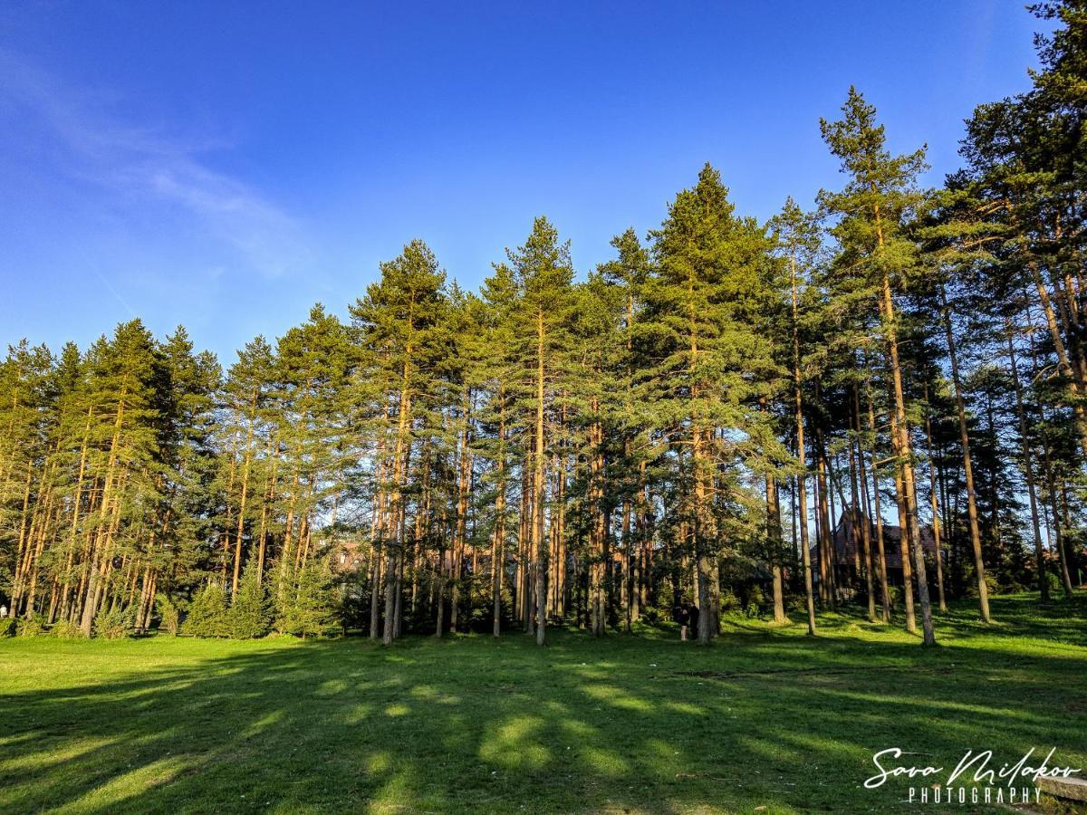 Apartman 65 Zlatibor Exterior foto